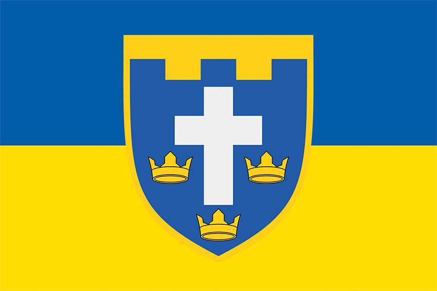 124 ta okrema bryhada terytorialnoi oborony 124 obrtro zhovto synii 2 jpg