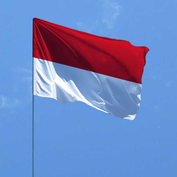 1681415097 flag monako jpg