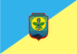 1687733714 flag dneprorudnogo 1 png