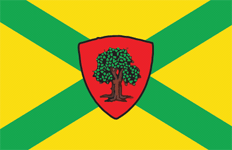 1687733793 flag dokuchaevska png