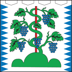 1687776291 flag mogileva podolskogo png