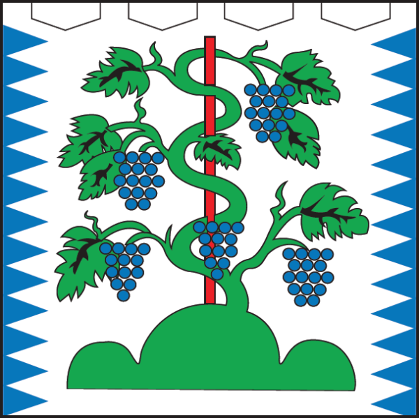 1687776291 flag mogileva podolskogo png