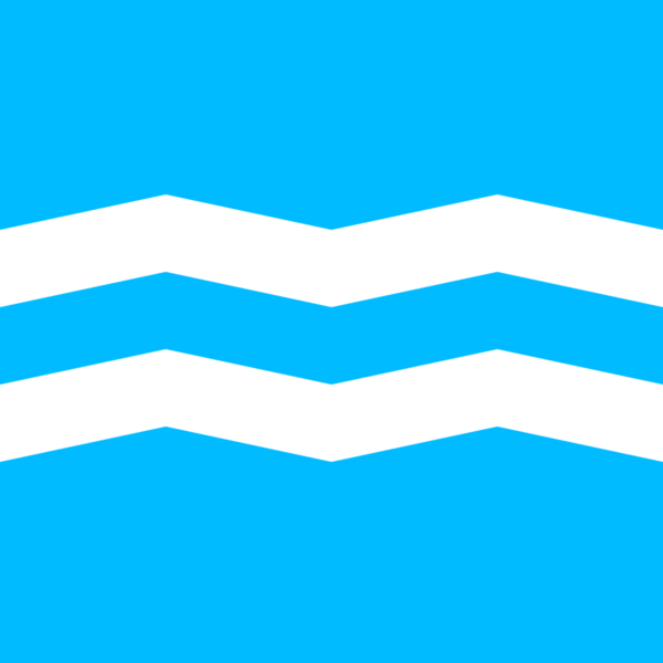 1687784841 флаг светловодска png