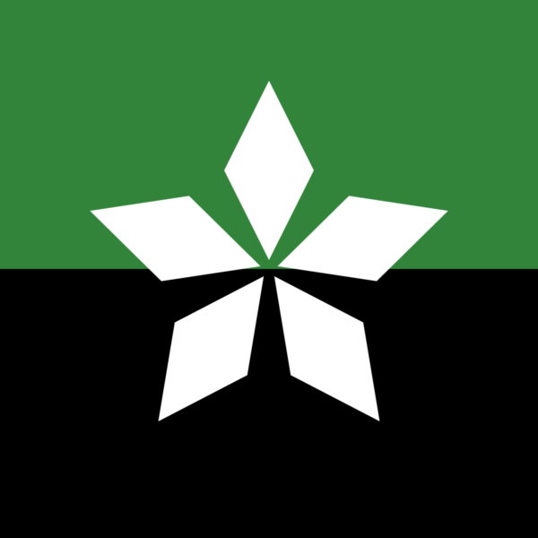 1687786242 flag soledara png