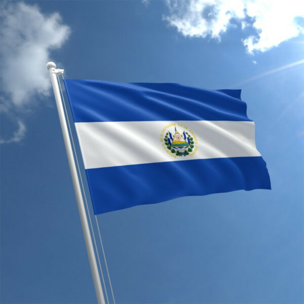 1898937991 flag salvadora jpg