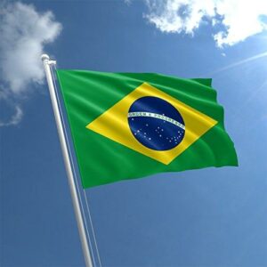 1898938088 flag brazilii jpg