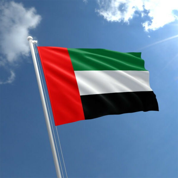 1898944723 flag obedinennyh arabskih jpg