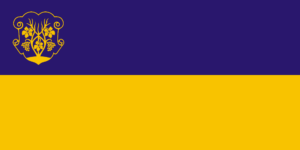 1898946382 flag uzhgoroda 1 png