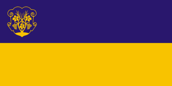 1898946382 flag uzhgoroda 1 png