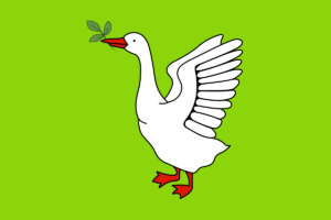 1898975281 flag truskavtsa png