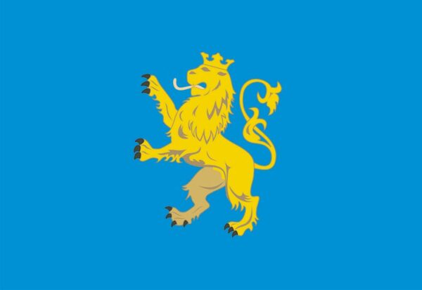 1898981378 flag lvovskoj oblasti 1 jpg
