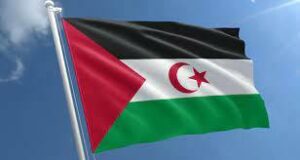 3316248237 flag zapadnoj sahary jpg