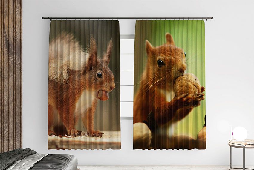 Білка з горішком Ліс Squirrel with a nut Forest