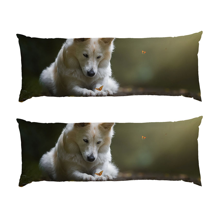 Білий пес та метелик White dog and butterfly