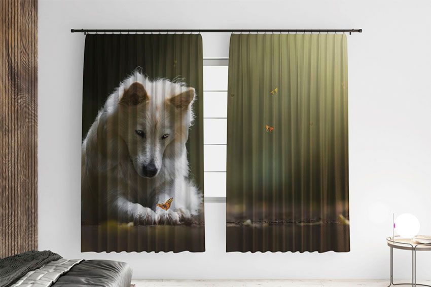 Білий пес та метелик White dog and butterfly