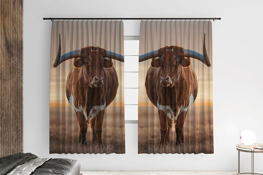 Бик Великі роги Bull Big horns