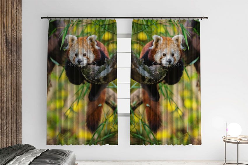 Червона панда Відпочинок на дереві Red panda Rest on a tree