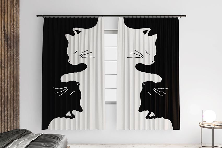 Чорний та білий кіт Black and white cat