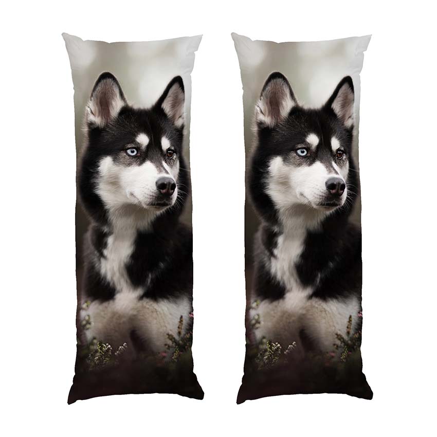 Гарна хаскі у лісі Beautiful husky in the forest