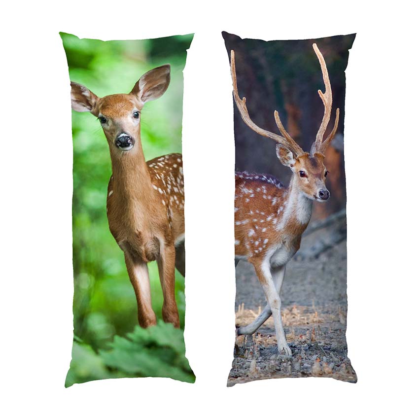 Гарні олені Ліс Beautiful deers Forest