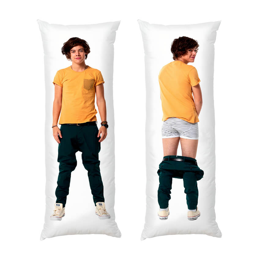 Гаррі Стайлз Співак Harry Styles Singer