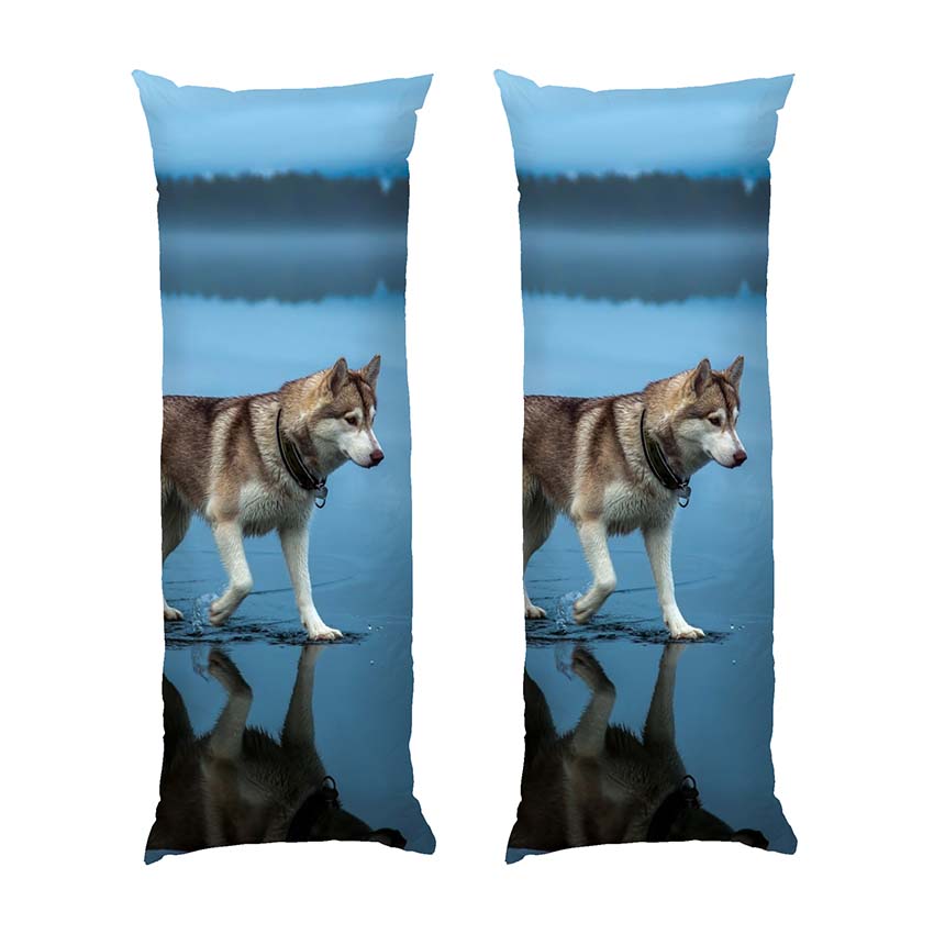 Хаскі Прогулка по воді Husky A walk on the water