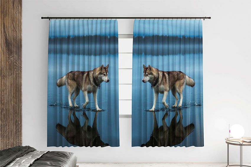 Хаскі Прогулка по воді Husky A walk on the water