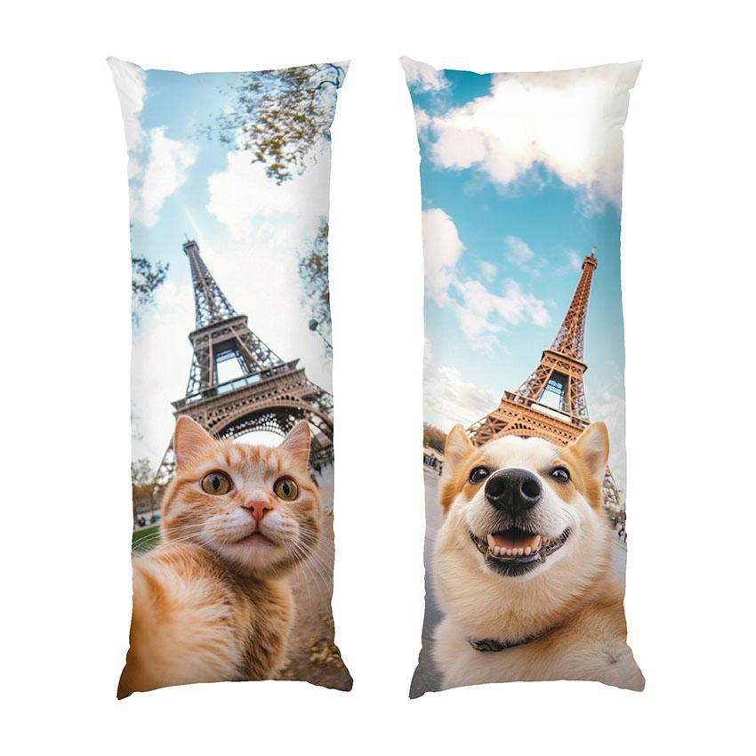 Кіт та пес Прогулянка у Парижі Cat and dog Walk in Paris