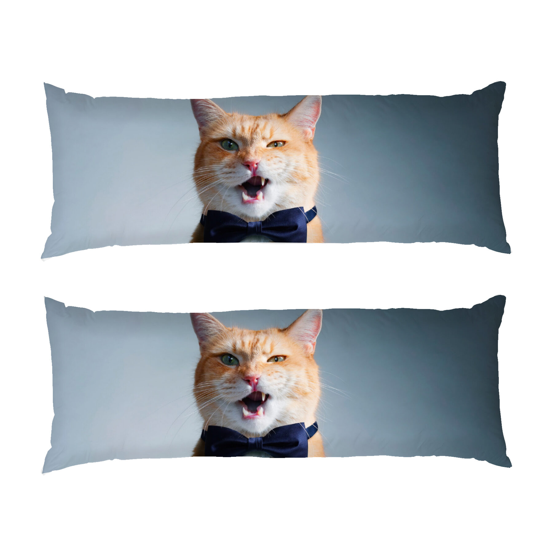 Кіт з краваткою метелик Cat with a bow tie