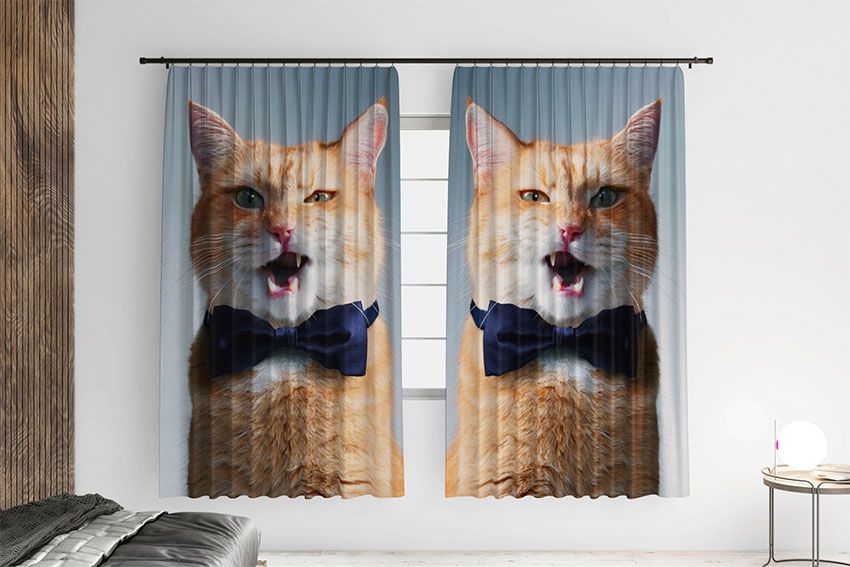 Кіт з краваткою метеликом Cat with a bow tie