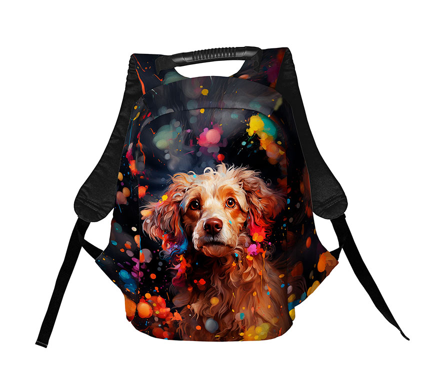 Кокер-спанієль у фарбах