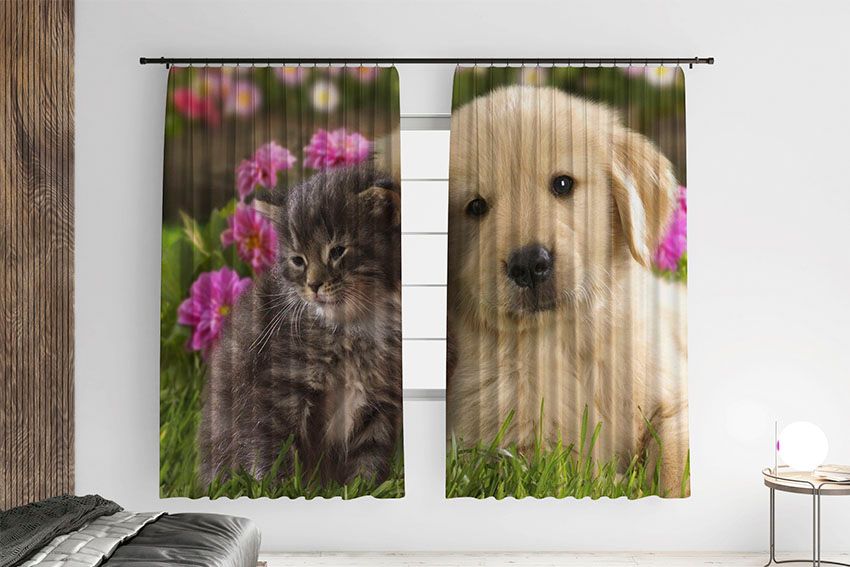 Кошеня та цуценя Маленькі друзі Kitten and puppy Little friends