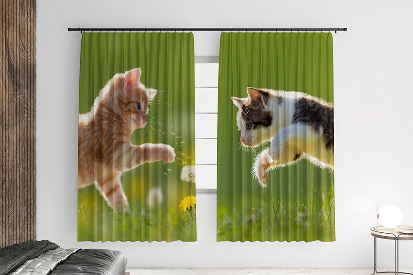 Кошенята Гра у полi Kittens Game in the field