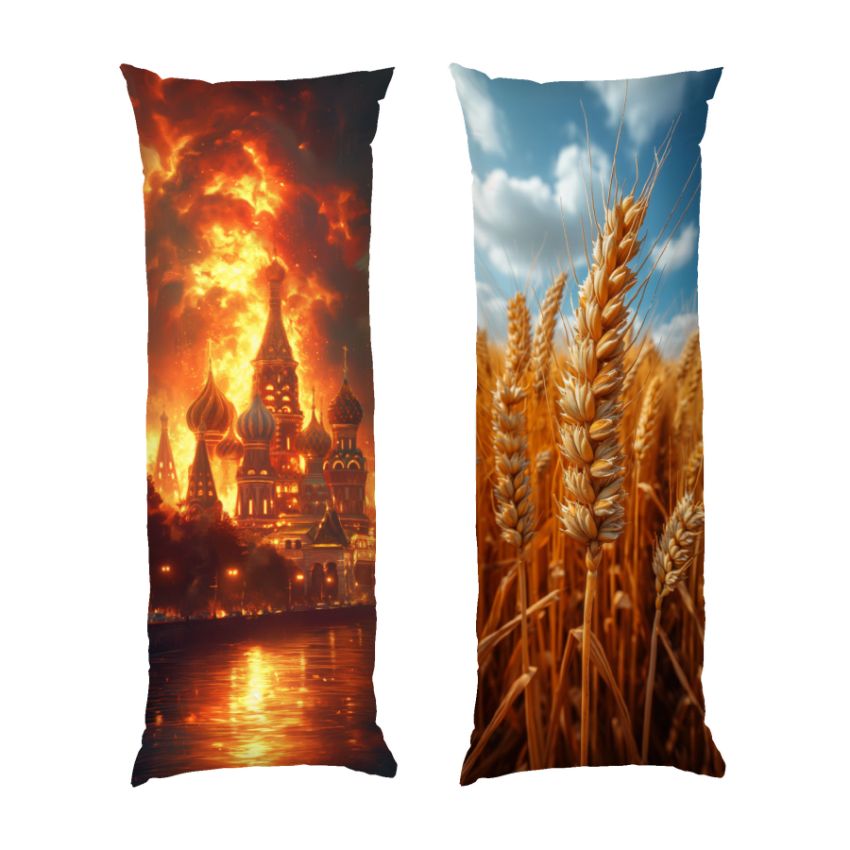 Кремль пылает Украина процветает The Kremlin is burning Ukraine is flourishing