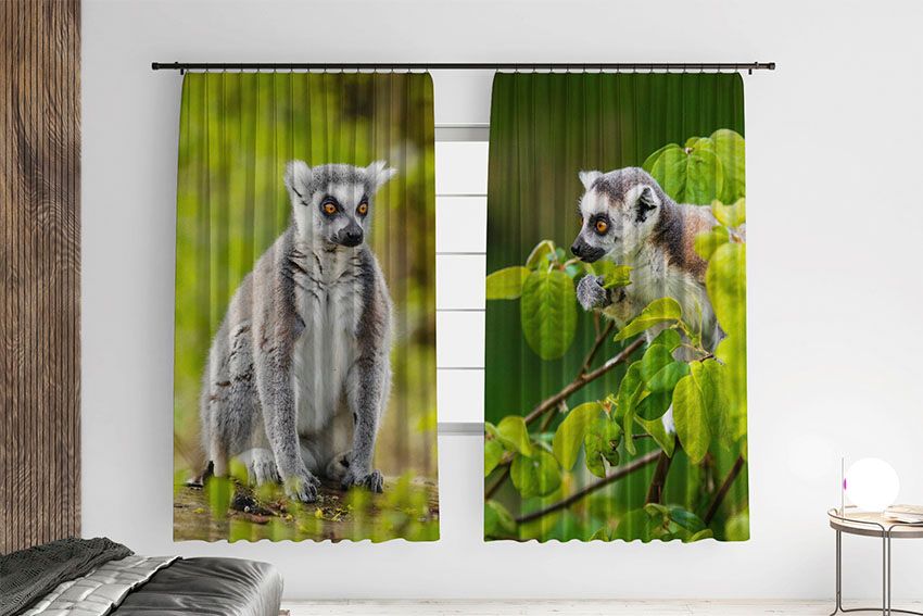 Лемур у джунглях Lemur in the jungle