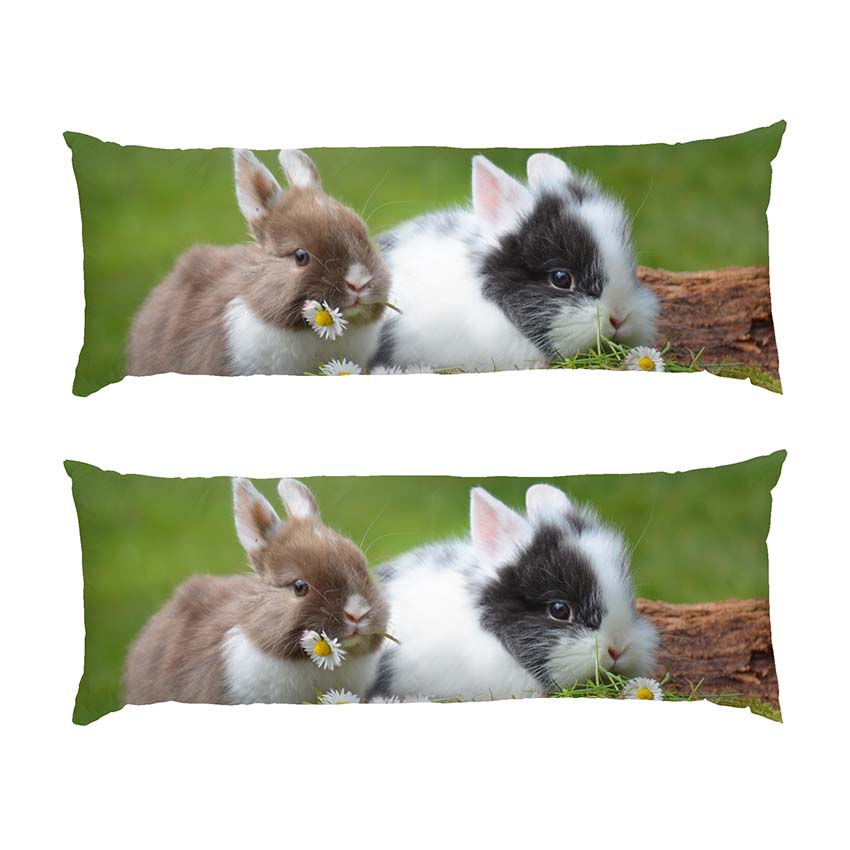Милі кролики Ромашки Cute rabbits Chamomile