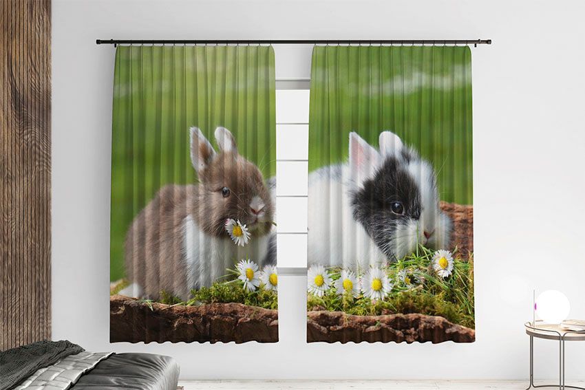 Милі кролики Ромашки Cute rabbits Chamomile