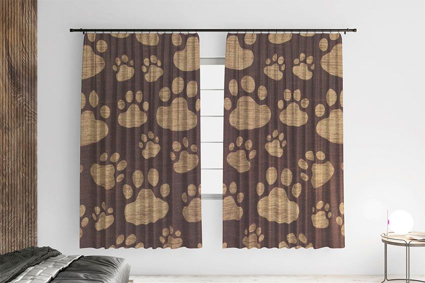 Милі лапки Cute paws