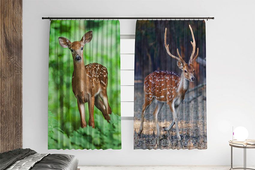 Олені у лісі Deer in the forest