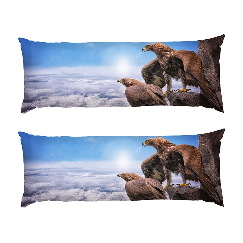 Орли Висока гора Eagles High mountain