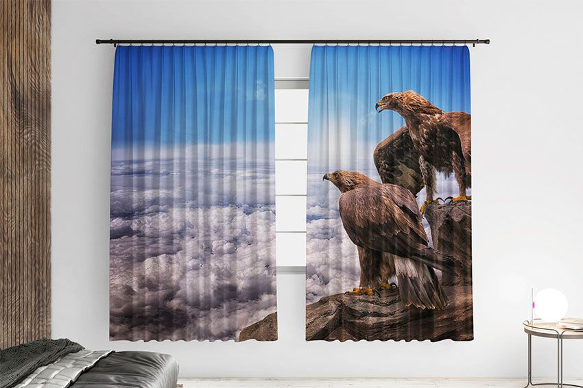 Орли Висока гора Eagles High mountain