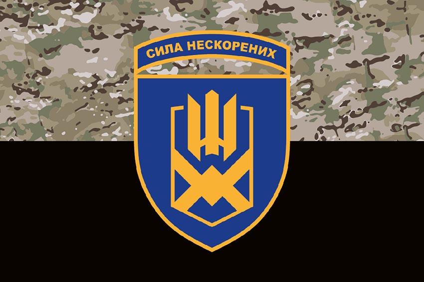 Прапор 153 окремої механізованої бригади (153 ОМБр) СВ ЗСУ (лого 2) камуфляж чорний