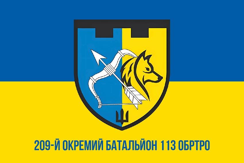 Прапор 209 окремого батальйону територіальної оборони 113 ОБрТрО (209 ОБ 113 ОБрТрО) ЗСУ синьо жовтий 1