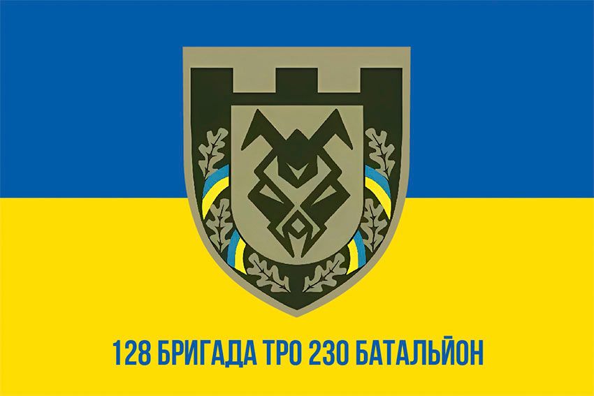 Прапор 230 окремого батальйону 128 ОБрТрО «Дике поле» (230 ОБ 128 ОБрТрО) ЗСУ синьо жовтий 1