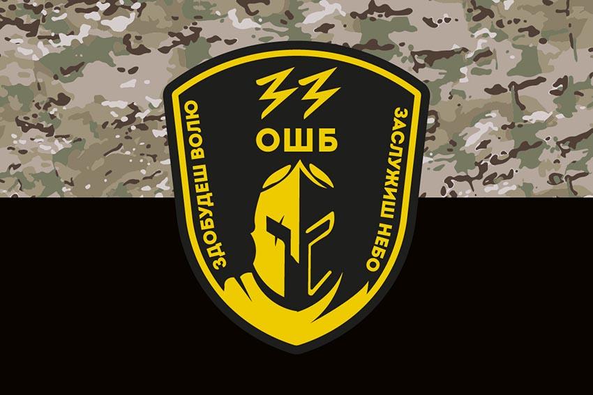 Прапор 33 окремого штурмового батальйону (33 ОШБ) ЗСУ камуфляж чорний