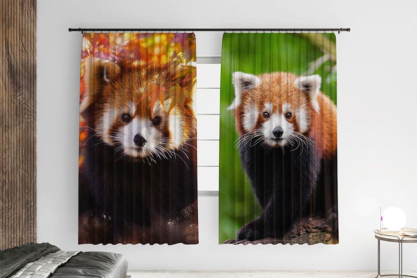 Пухнаста червона панда Fluffy red panda