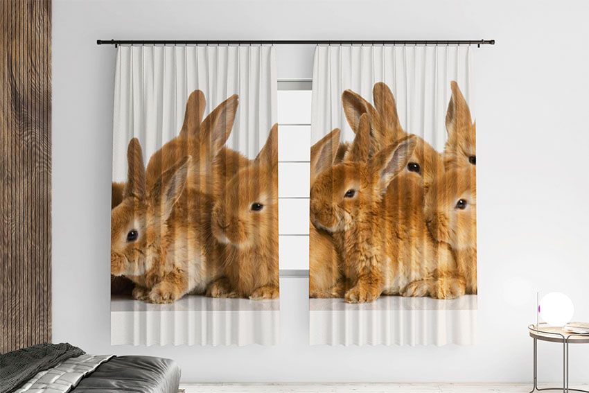 Пухнасті кролики Fluffy rabbits