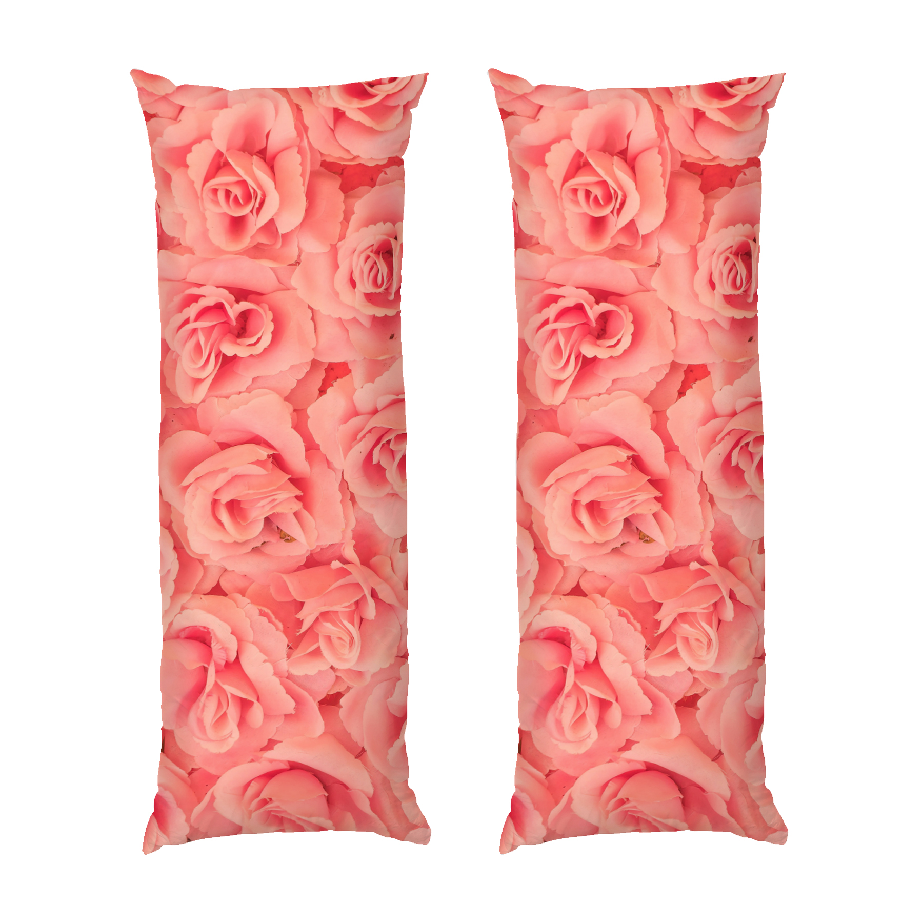 Розовая роза Красивый цветок Pink rose A beautiful flower