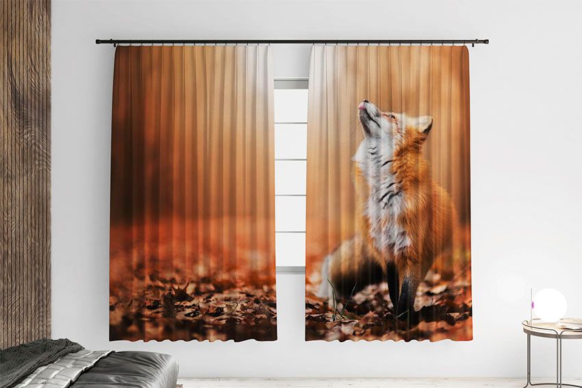 Руда лисиця Чудовий ліс Red fox A wonderful forest