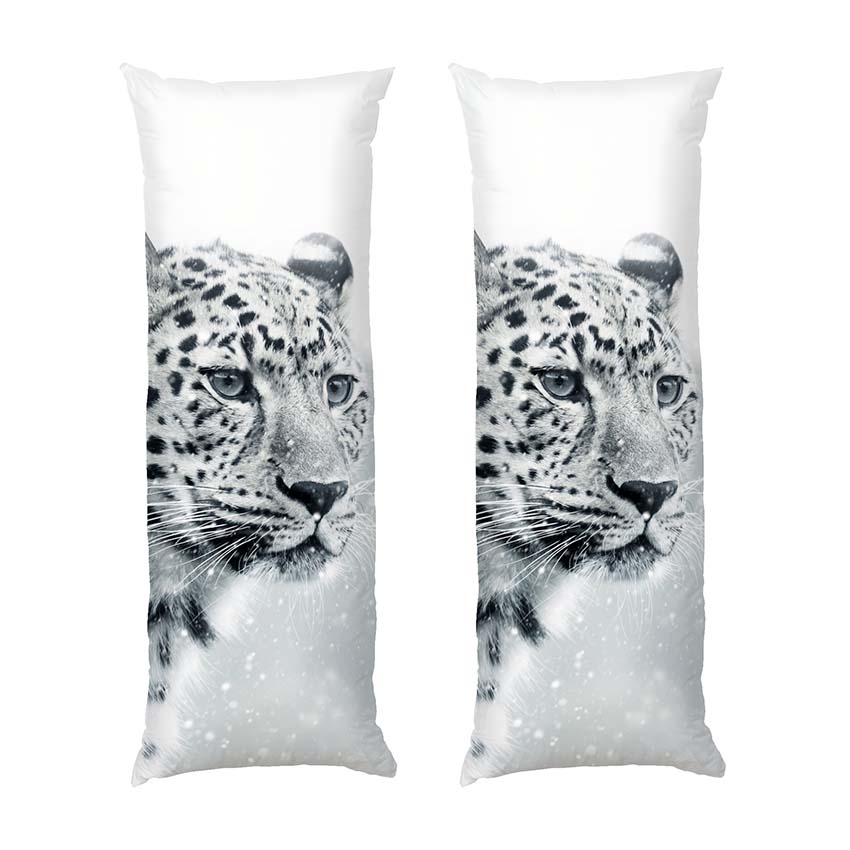 Сніговий барс Буря Snow leopard Storm